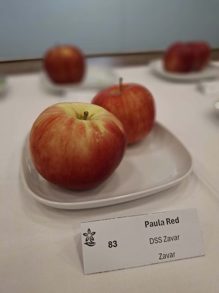 Zväčšiť fotografiu